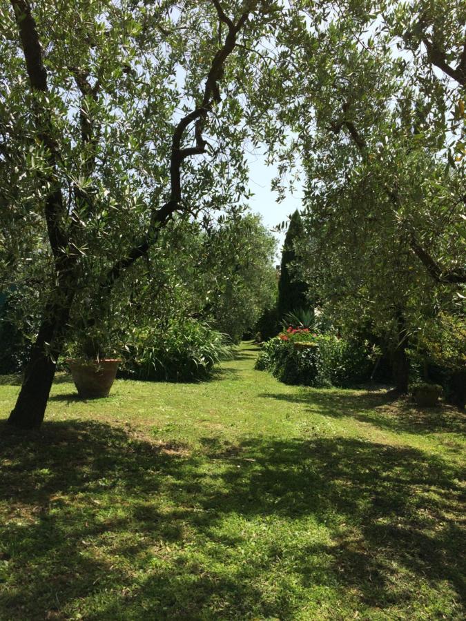 Вилла La Casa Dei Nonni Larciano Экстерьер фото